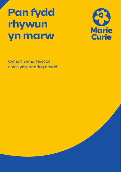 Publication image for when someone dies | pan fydd rhywun yn marw