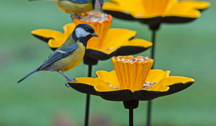 Charity Gift Ideas To Delight Wildlife And Garden Lovers