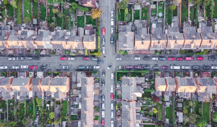 What does the yellow flower daffodil pin mean? Marie Curie