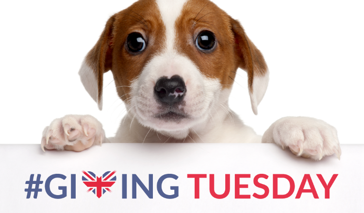 #GivingTuesday| Marie Curie