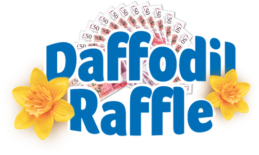 raffles weekly lottery and more how to create an online raffle