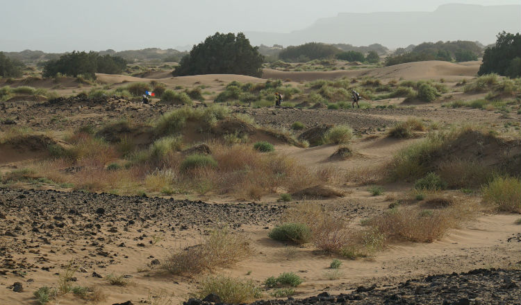 In the sand dunes Marathon des Sables