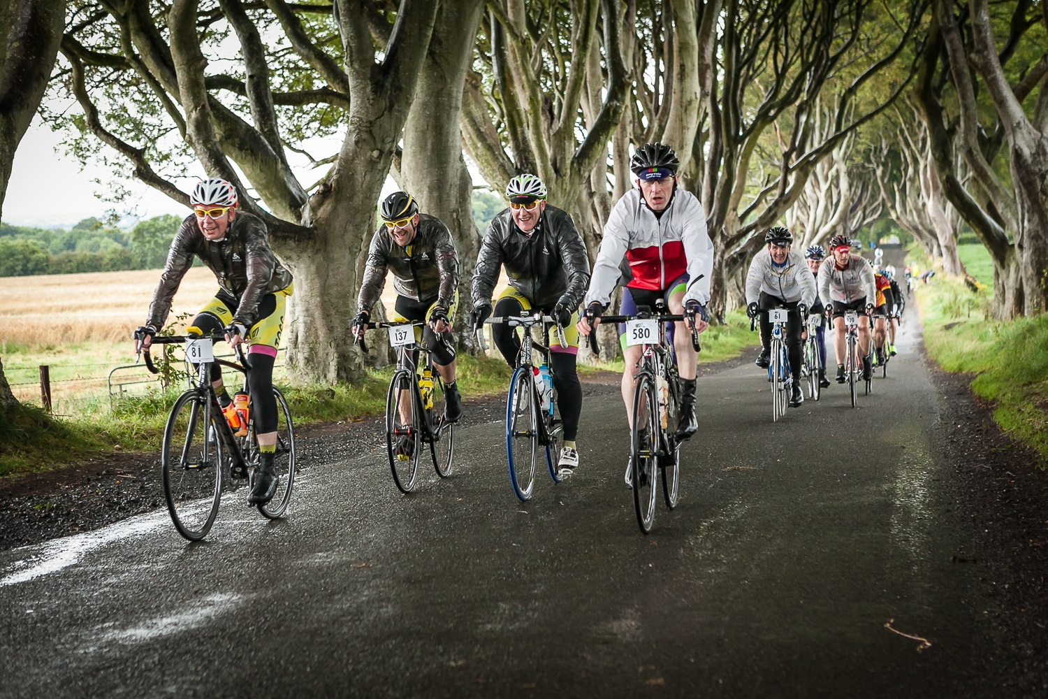 Giants Causeway cyclists in forest
