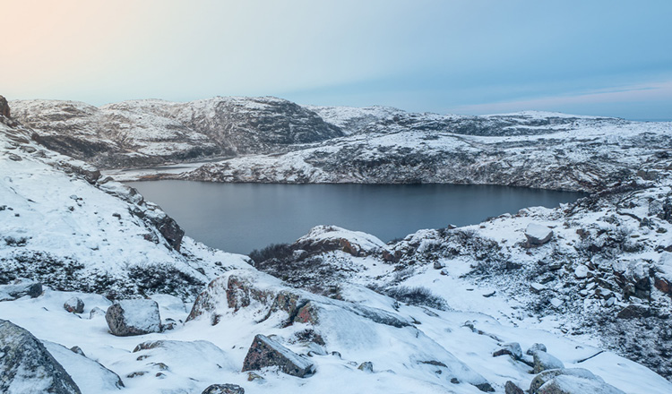 Arctic Survival Challenge Arctic Survival Challenge