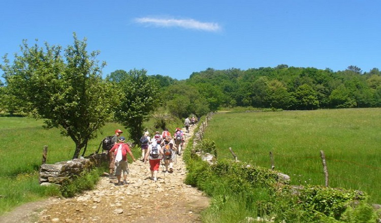 Camino Trekkers