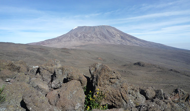 Marie Curie Kilimanjaro Trek