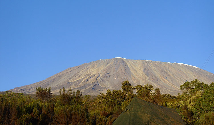 Marie Curie Kilimanjaro Trek