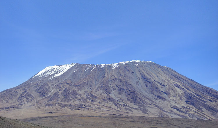 Marie Curie Kilimanjaro Trek