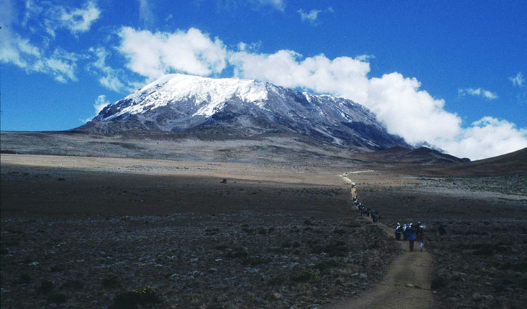 Marie Curie Kilimanjaro Trek