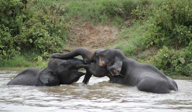 Sri Lanka Trek, Marie Curie
