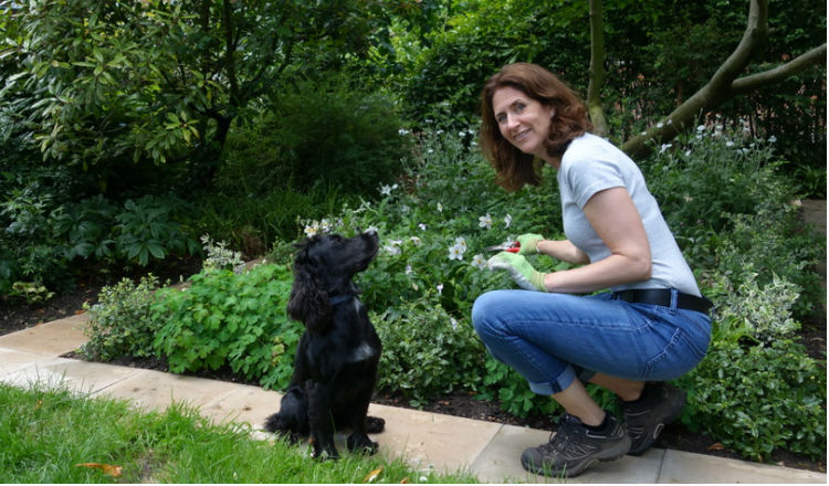 Volunteer Marie Curie hospice gardener Sarah with dog Skipper