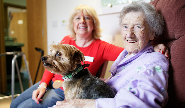 A patient at our hospice with a dog on her lap A patient at our hospice with a dog on her lap
