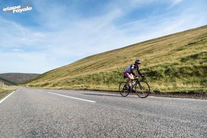 Quilter Cheviot Etape Royale