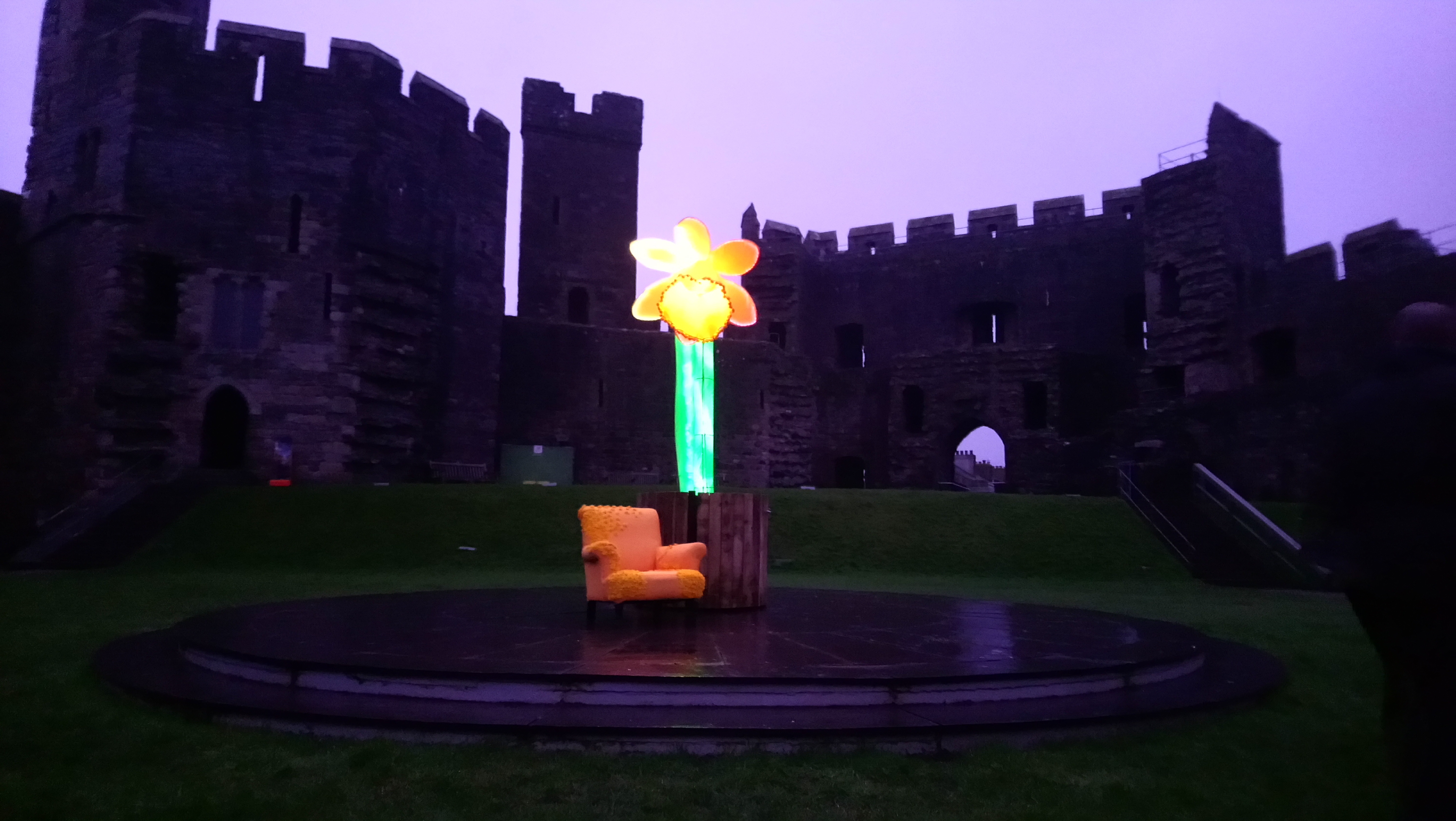 Illuminated daffodil lights up at Caernarfon Castle