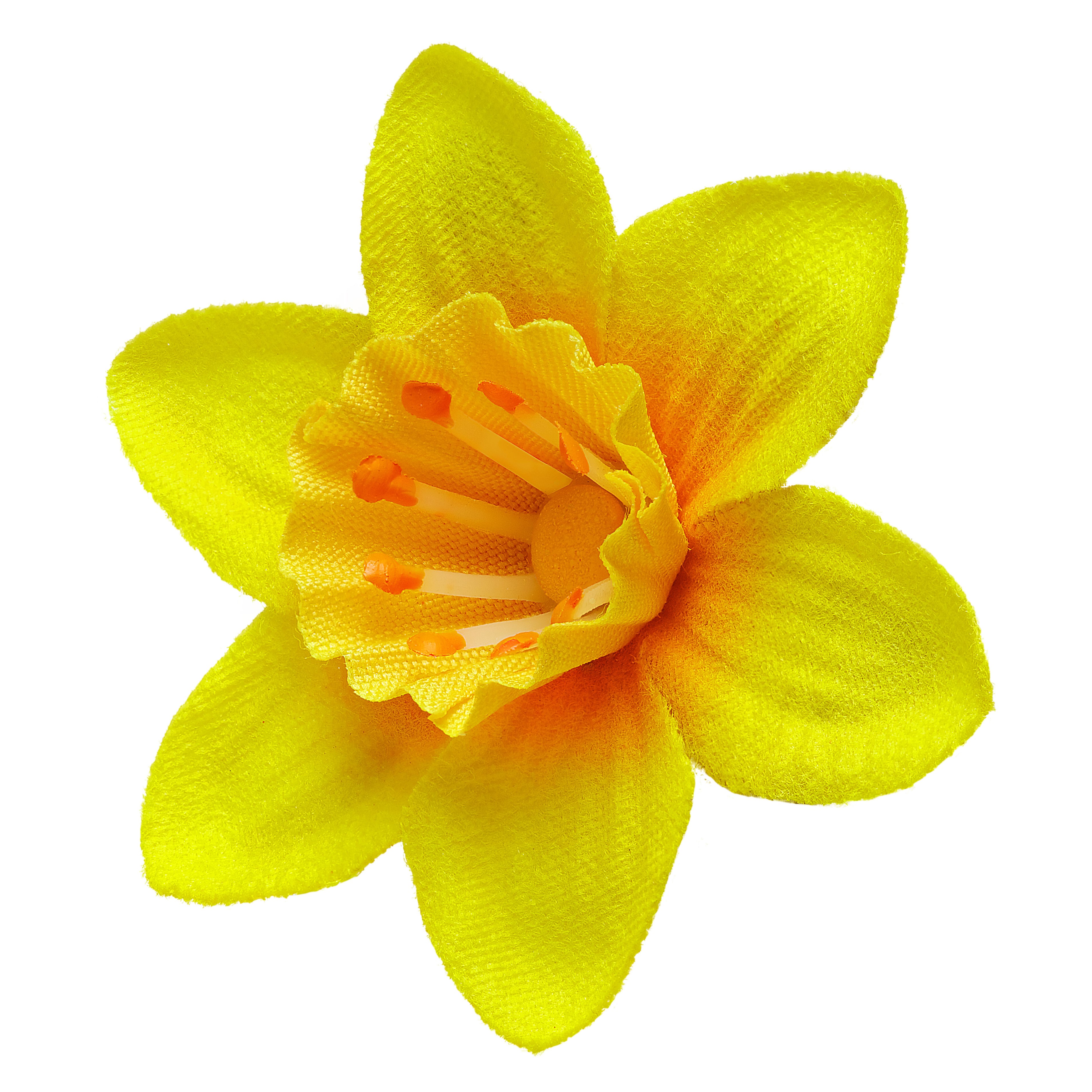 Daffodil pin