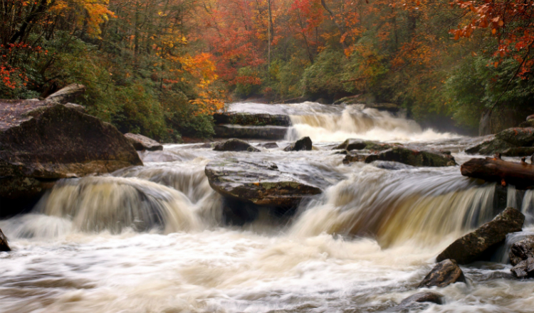 Smoky Mountains river