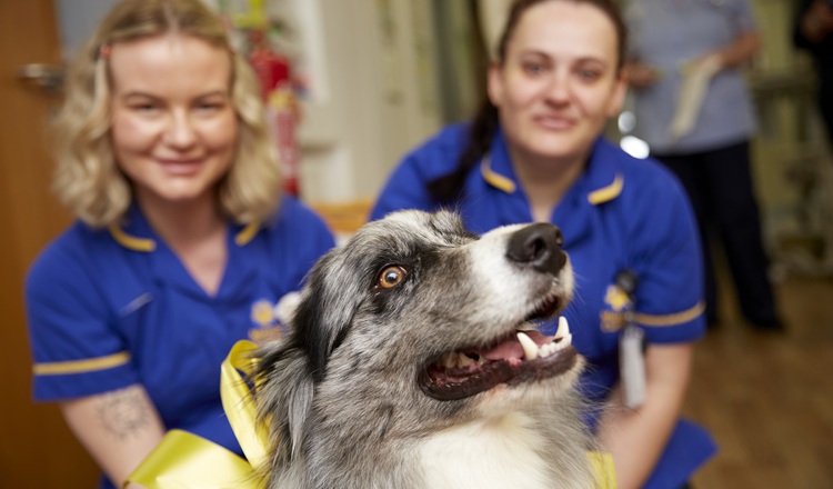 Two Marie Curie nurses with dog